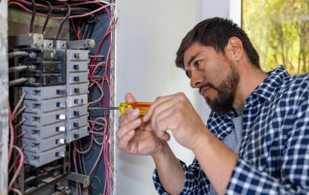 Best Ceiling Fan Installation Electrician  in Carbondale, PA